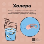 Профилактика холеры